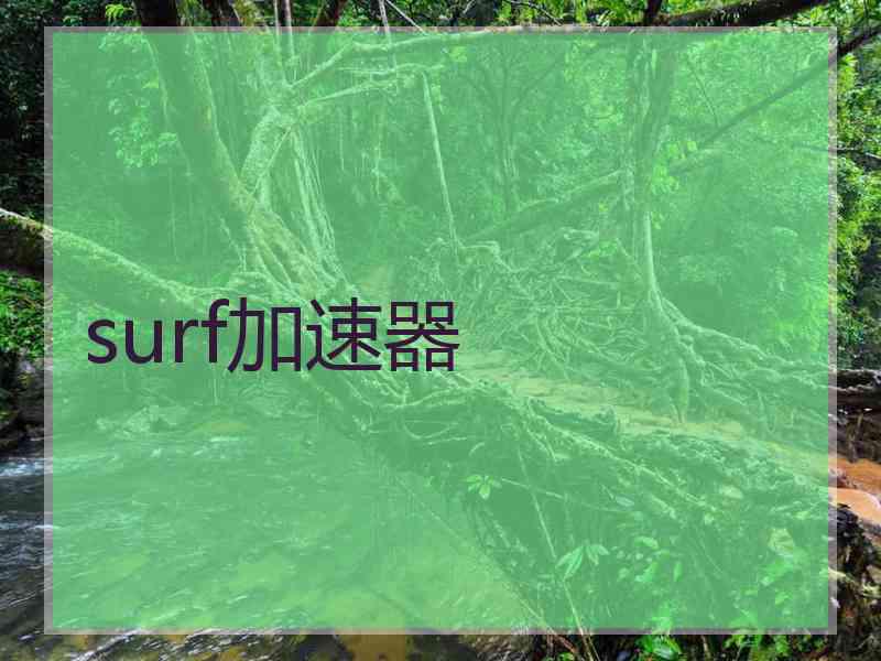 surf加速器