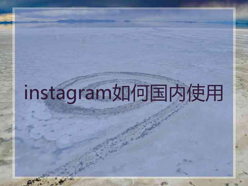 instagram如何国内使用