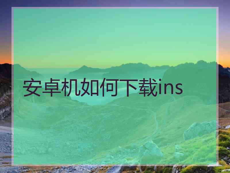安卓机如何下载ins