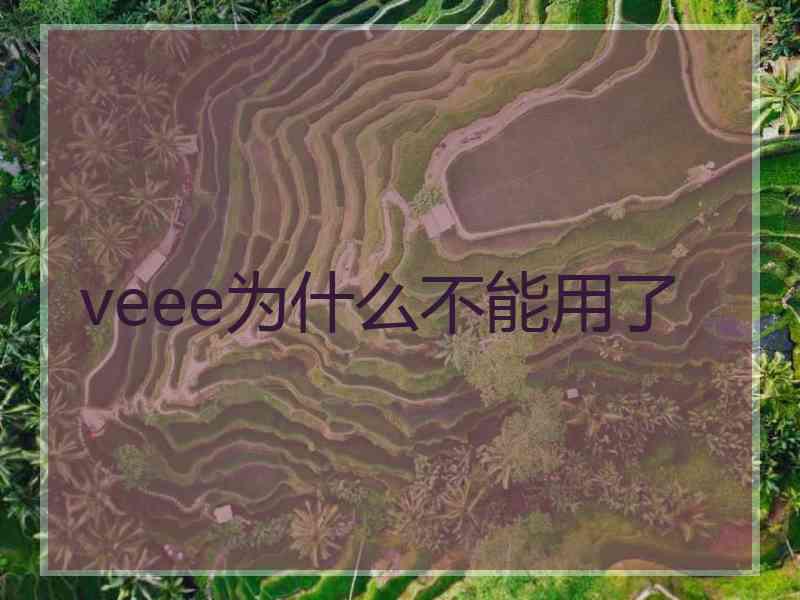 veee为什么不能用了