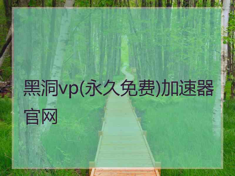 黑洞vp(永久免费)加速器官网