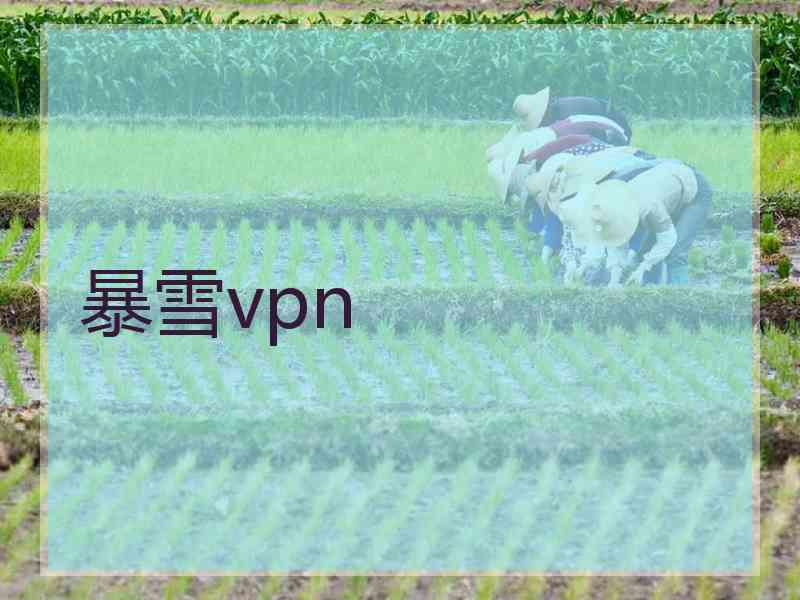 暴雪vpn