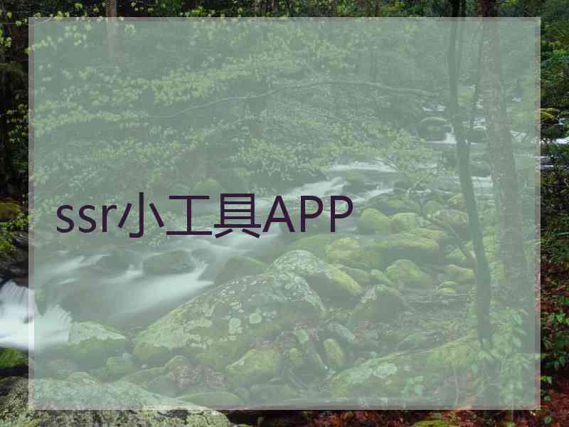 ssr小工具APP