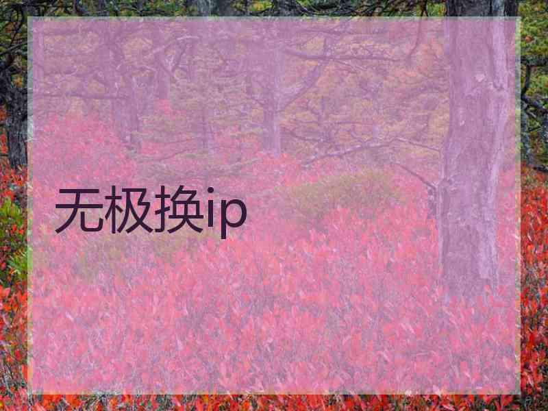无极换ip
