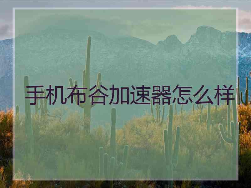 手机布谷加速器怎么样