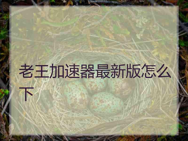 老王加速器最新版怎么下
