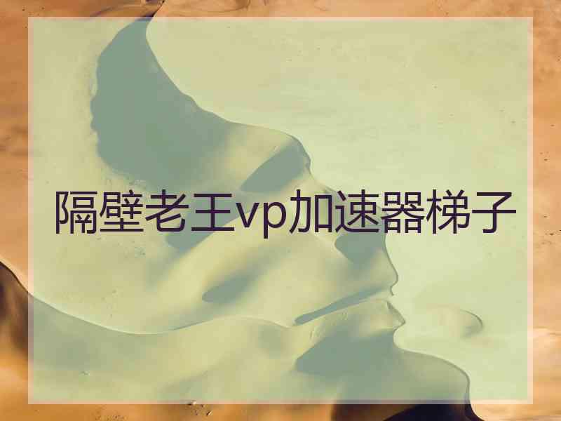 隔壁老王vp加速器梯子
