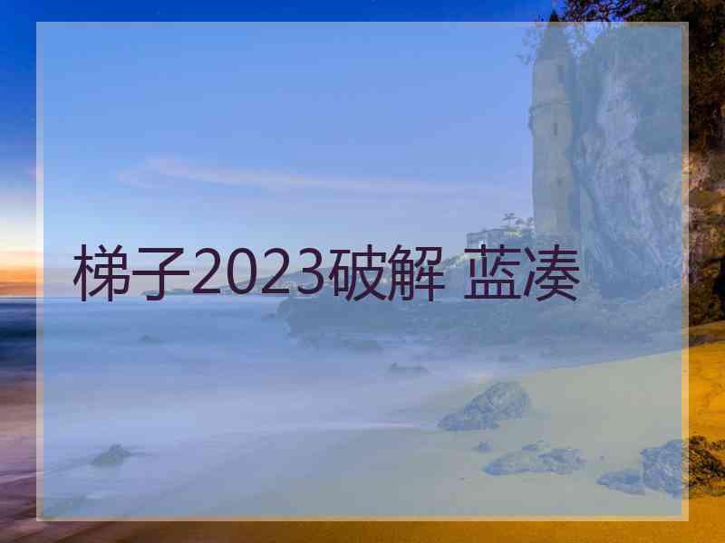 梯子2023破解 蓝凑