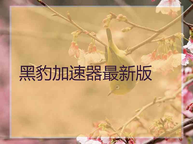 黑豹加速器最新版