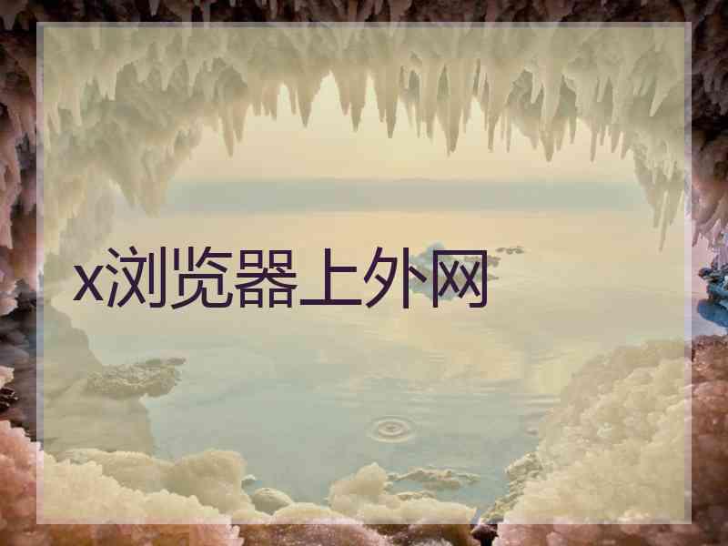 x浏览器上外网