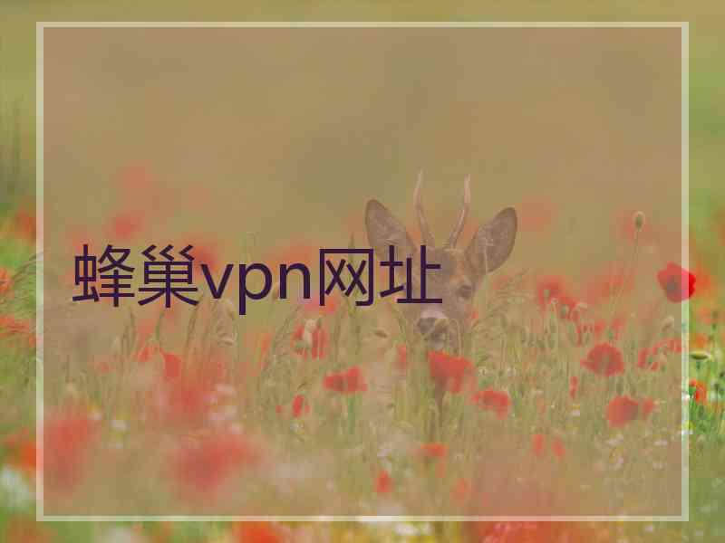 蜂巢vpn网址