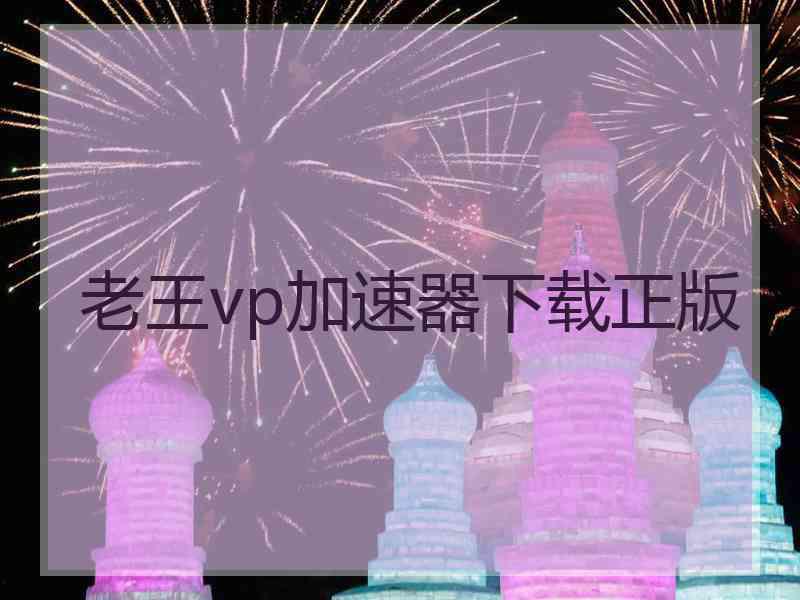 老王vp加速器下载正版