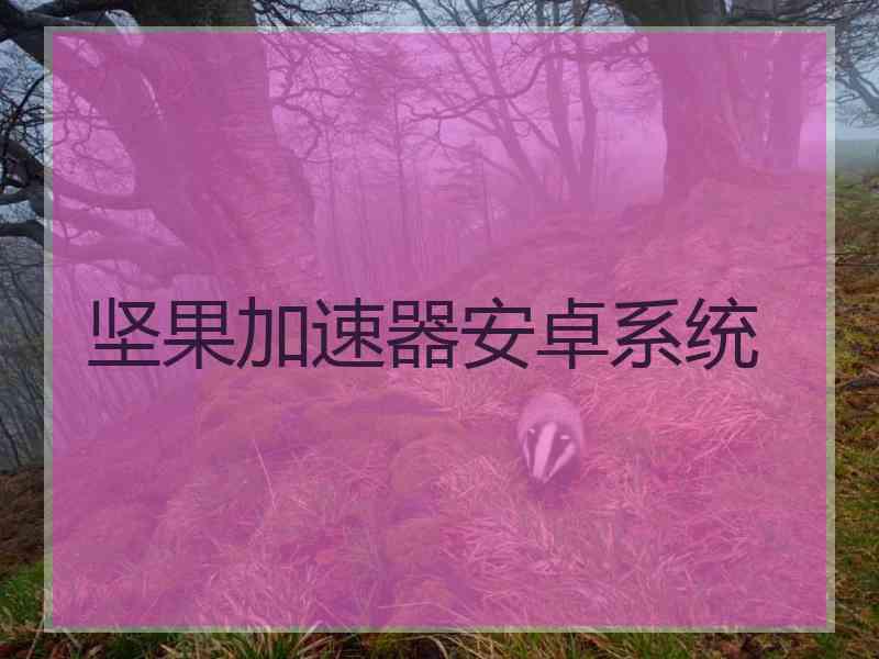 坚果加速器安卓系统
