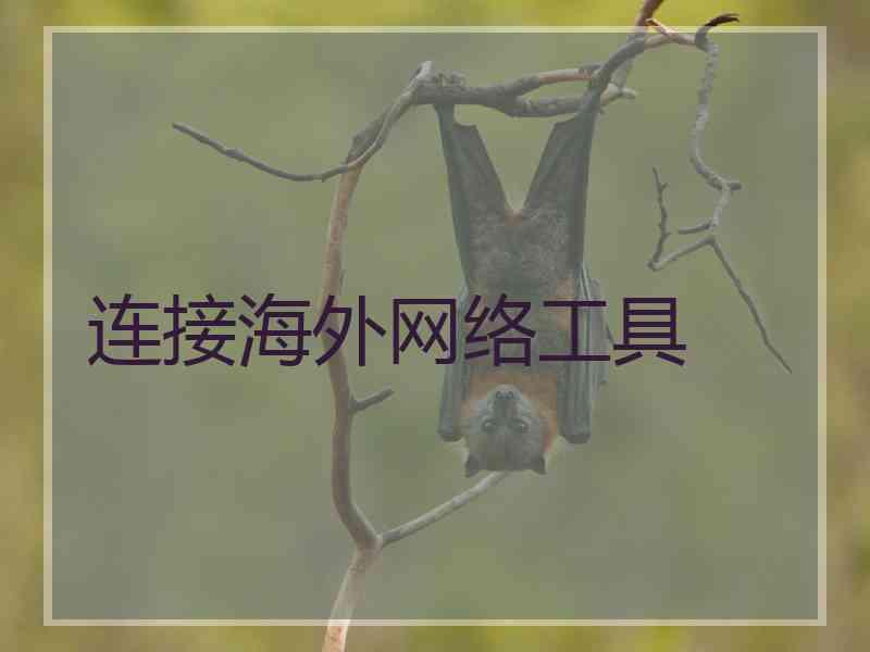 连接海外网络工具