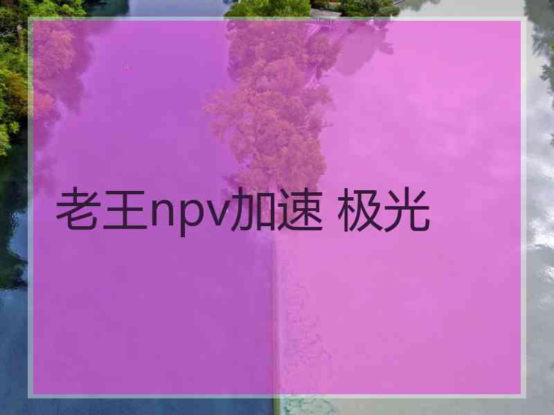 老王npv加速 极光