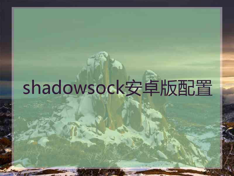 shadowsock安卓版配置