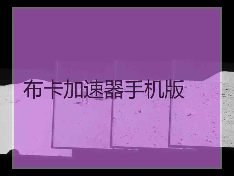 布卡加速器手机版