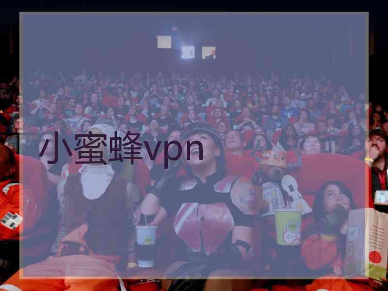 小蜜蜂vpn