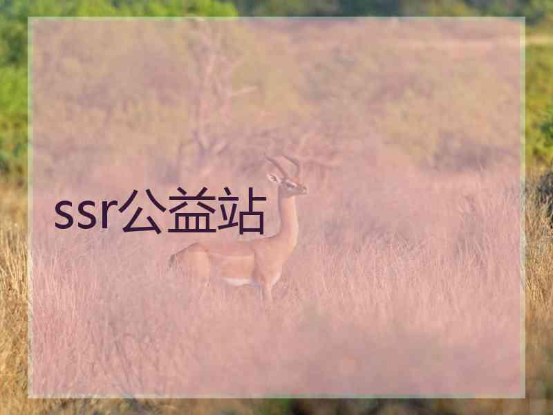 ssr公益站