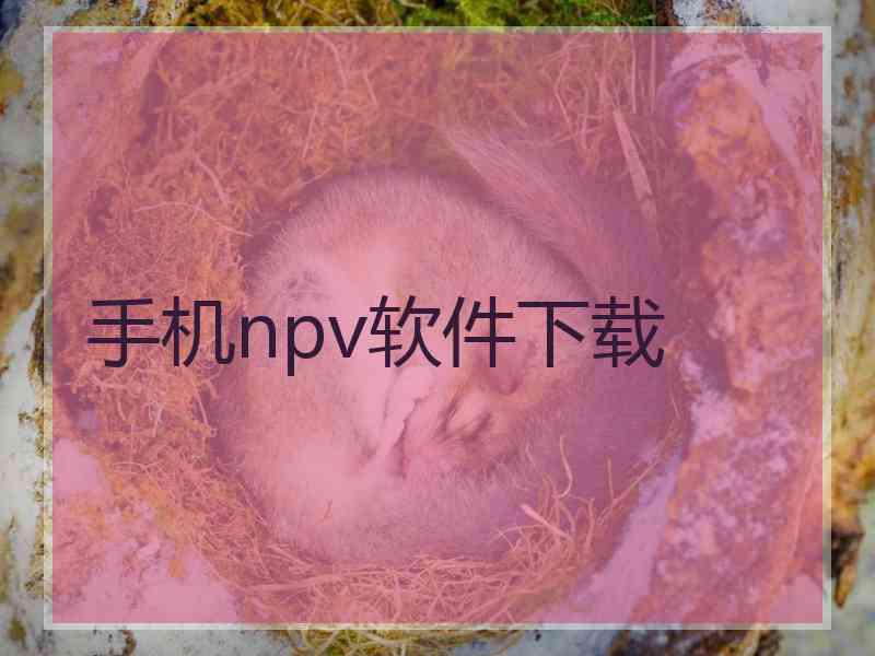 手机npv软件下载