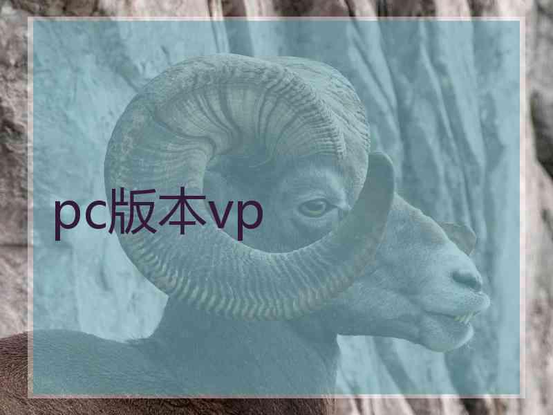 pc版本vp