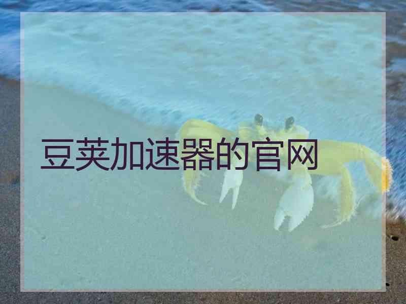 豆荚加速器的官网