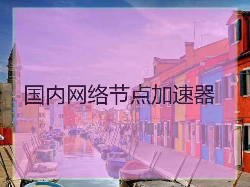 国内网络节点加速器