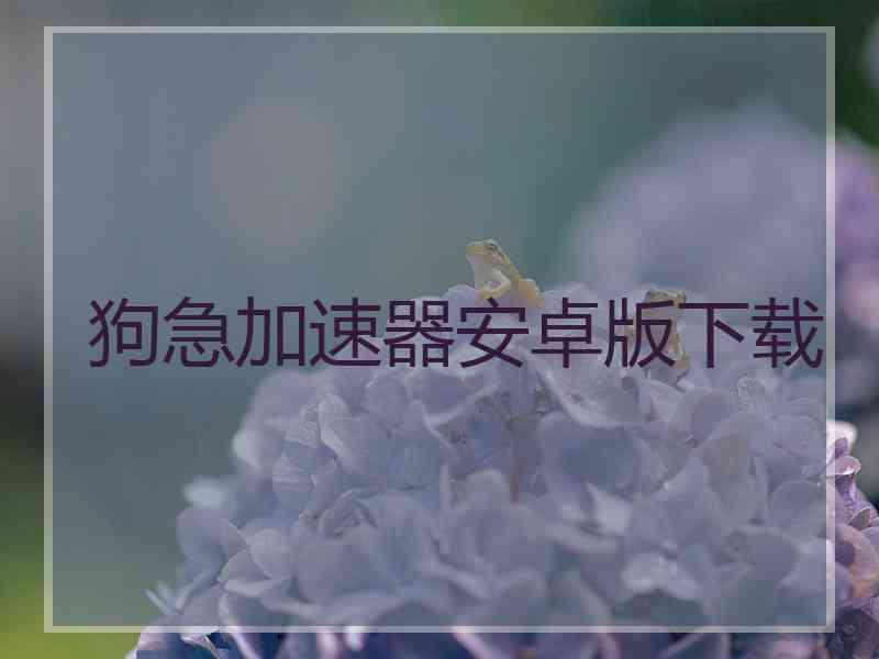 狗急加速器安卓版下载