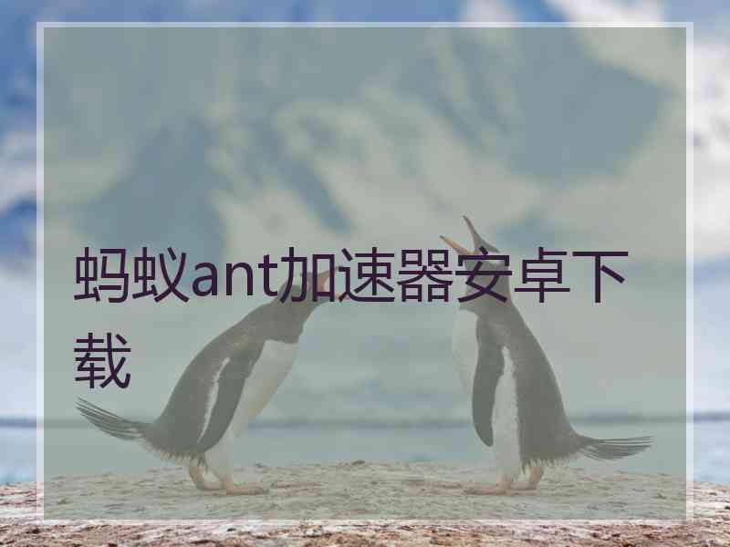 蚂蚁ant加速器安卓下载
