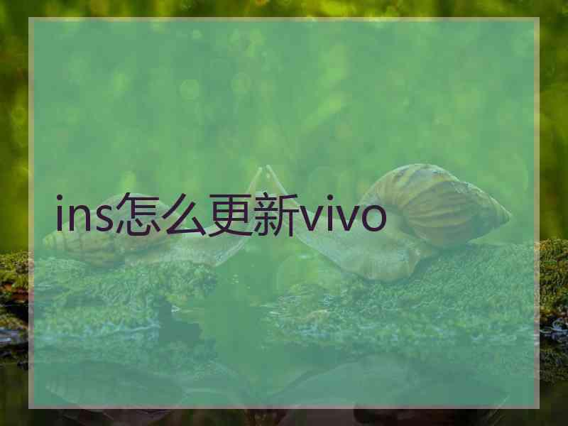 ins怎么更新vivo
