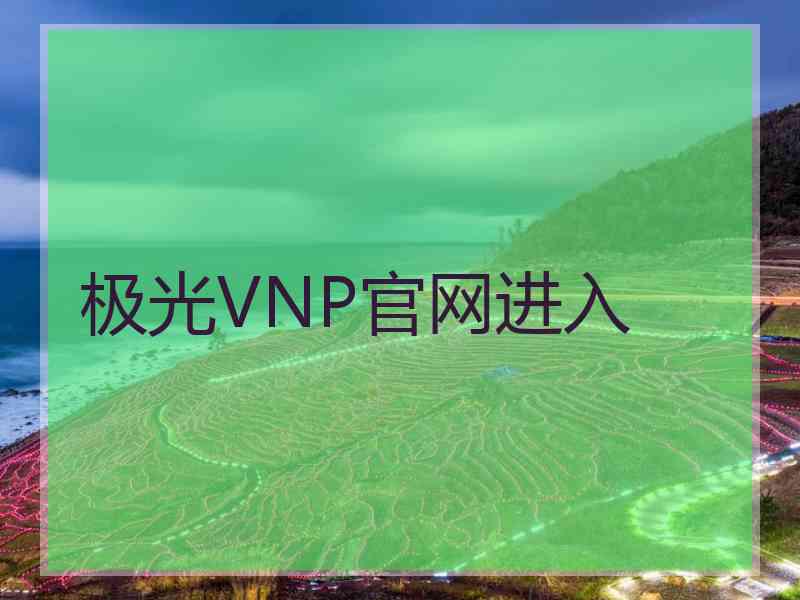 极光VNP官网进入