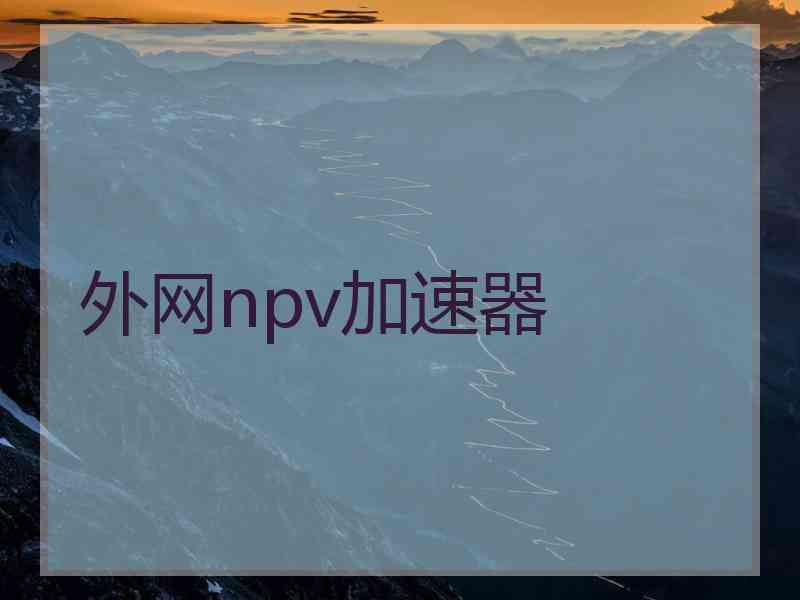 外网npv加速器