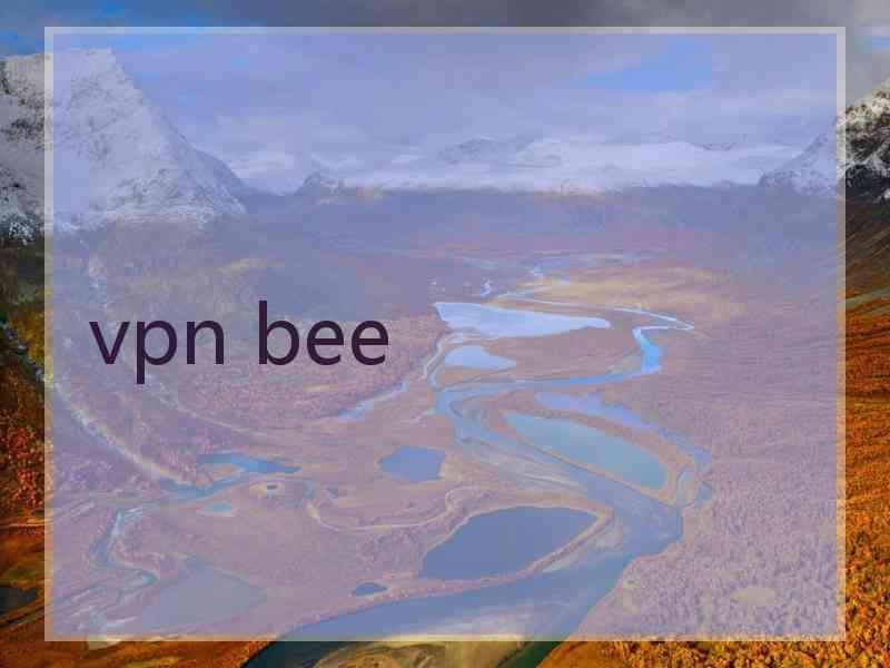 vpn bee