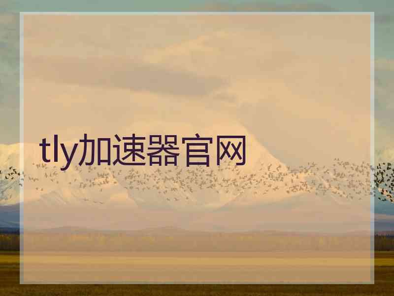 tly加速器官网