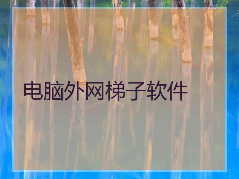 电脑外网梯子软件