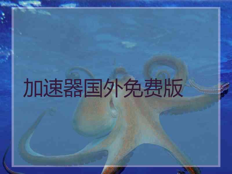 加速器国外免费版