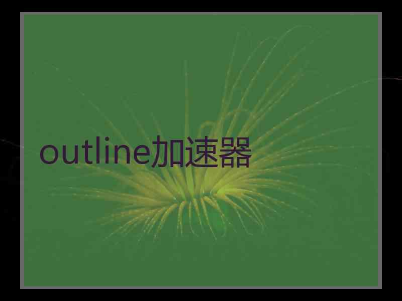 outline加速器