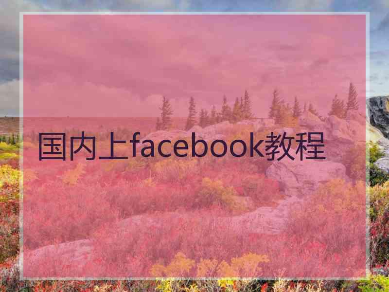 国内上facebook教程