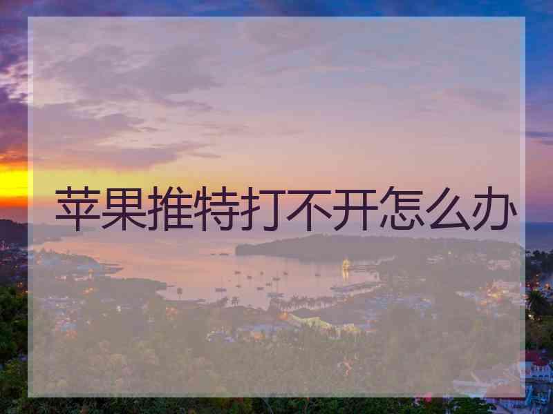 苹果推特打不开怎么办