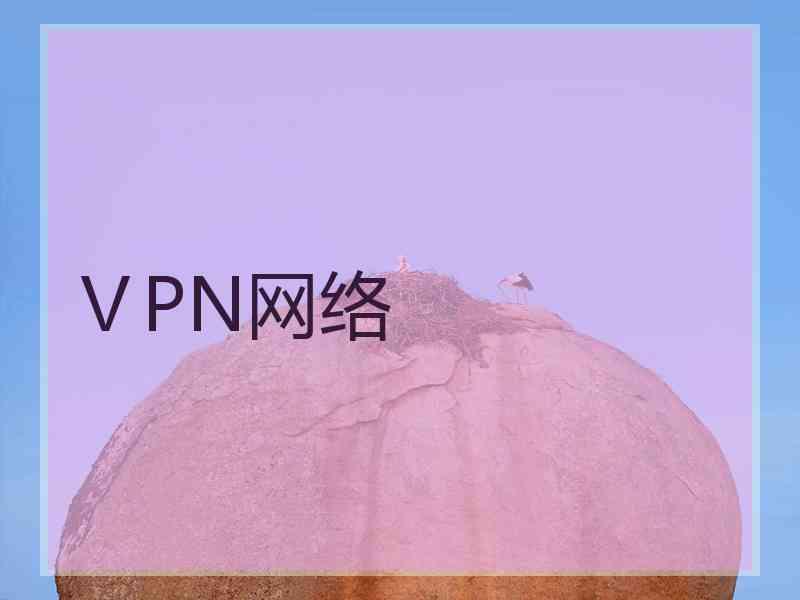 ⅤPN网络