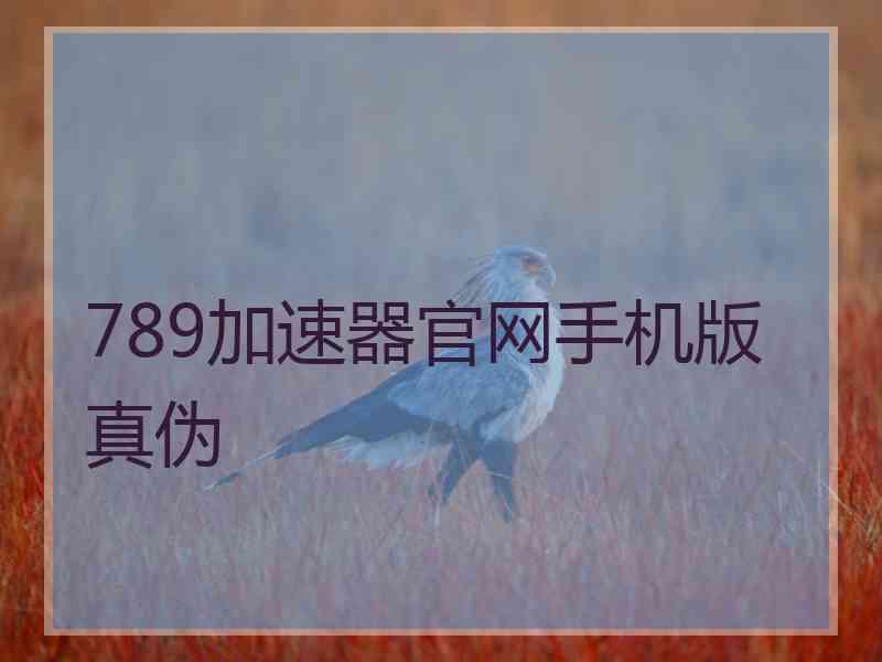 789加速器官网手机版真伪