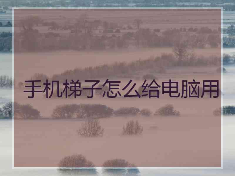 手机梯子怎么给电脑用