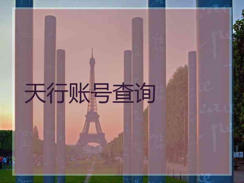 天行账号查询