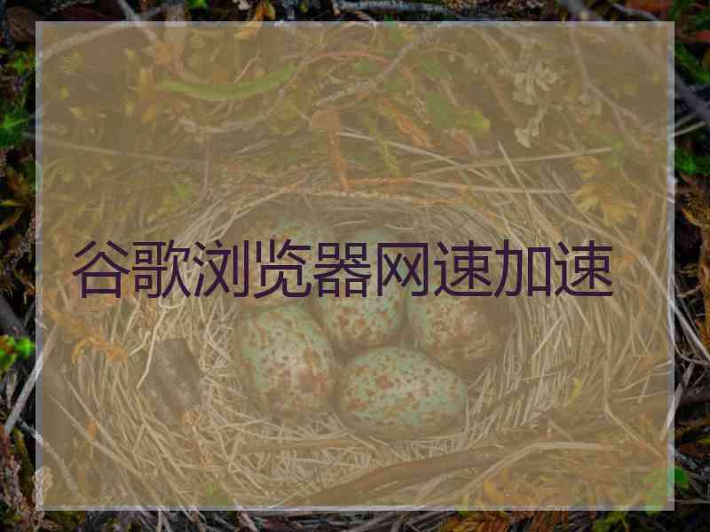 谷歌浏览器网速加速