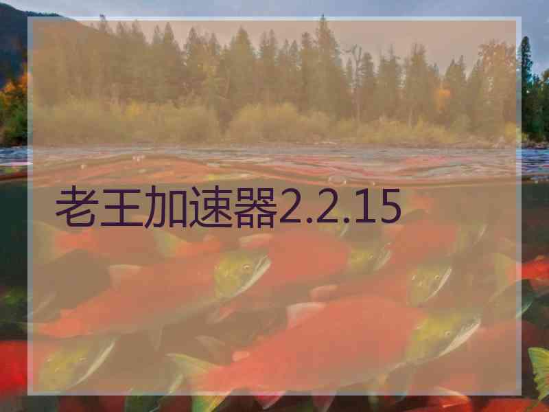 老王加速器2.2.15