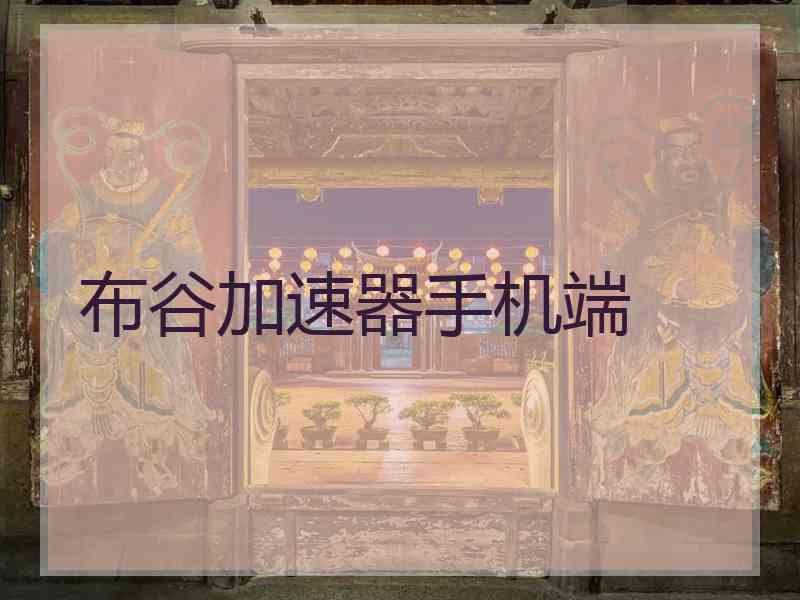 布谷加速器手机端