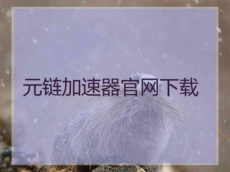 元链加速器官网下载