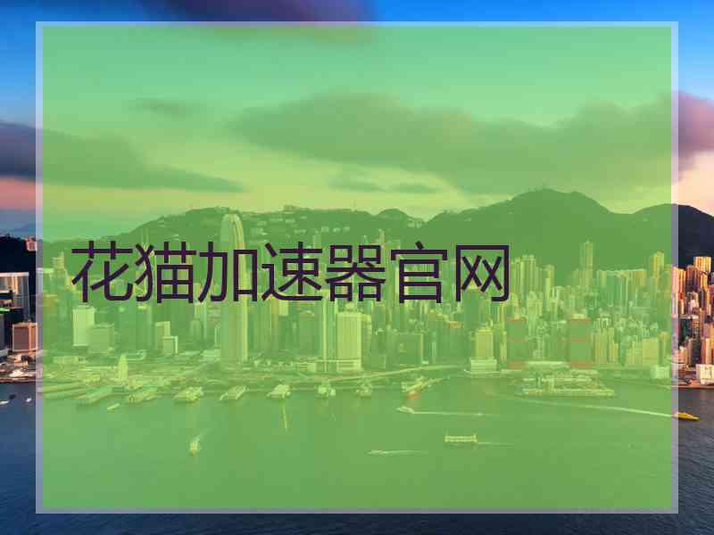 花猫加速器官网