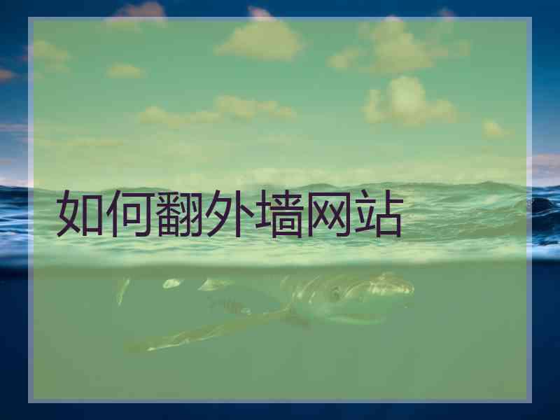 如何翻外墙网站
