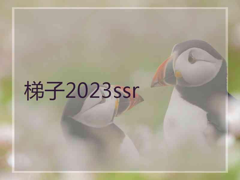 梯子2023ssr